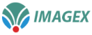 Imagex Technologies_50px